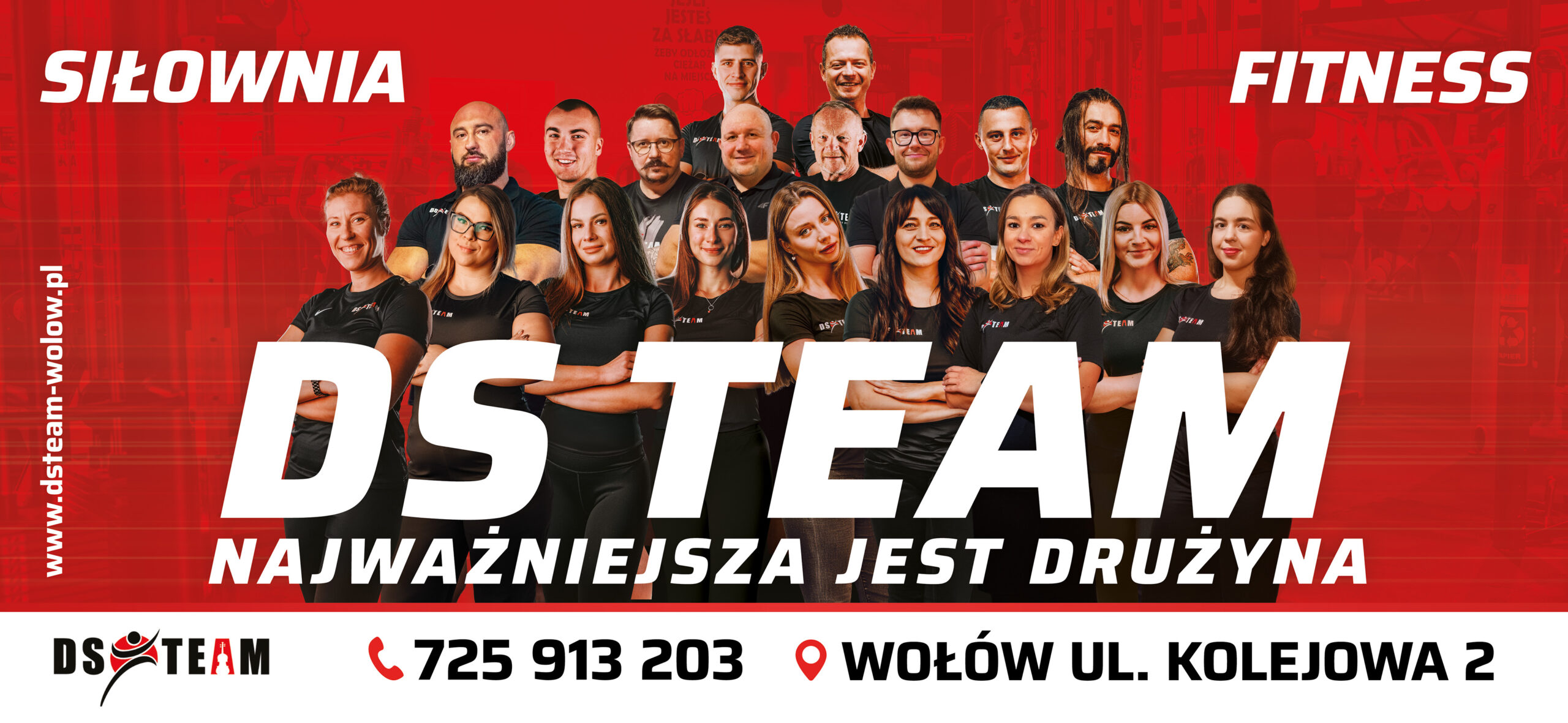 dsteam